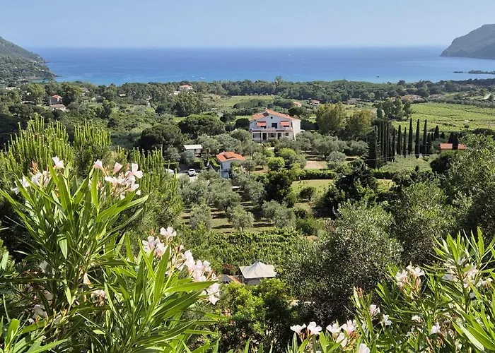 Villa Conti Residence