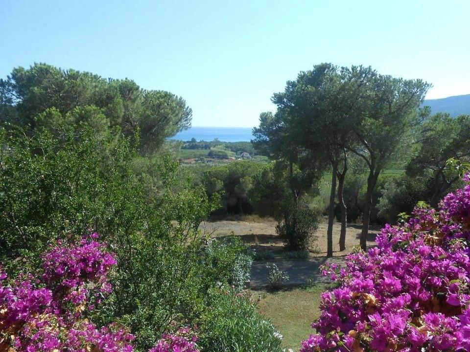 Conti Apart-hotel Lacona