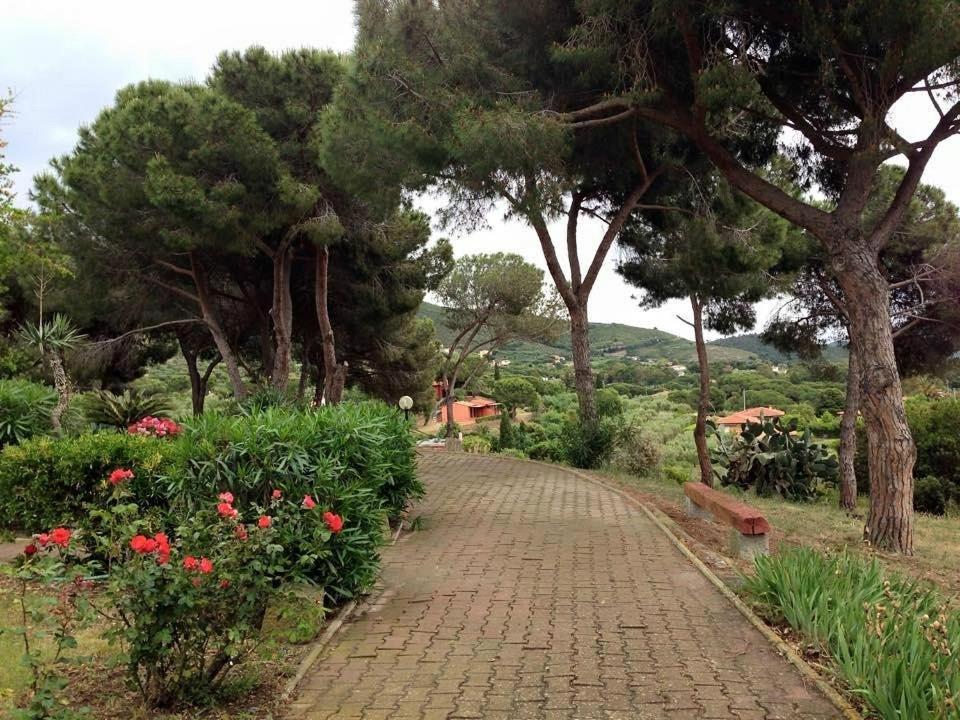 Conti Apartahotel