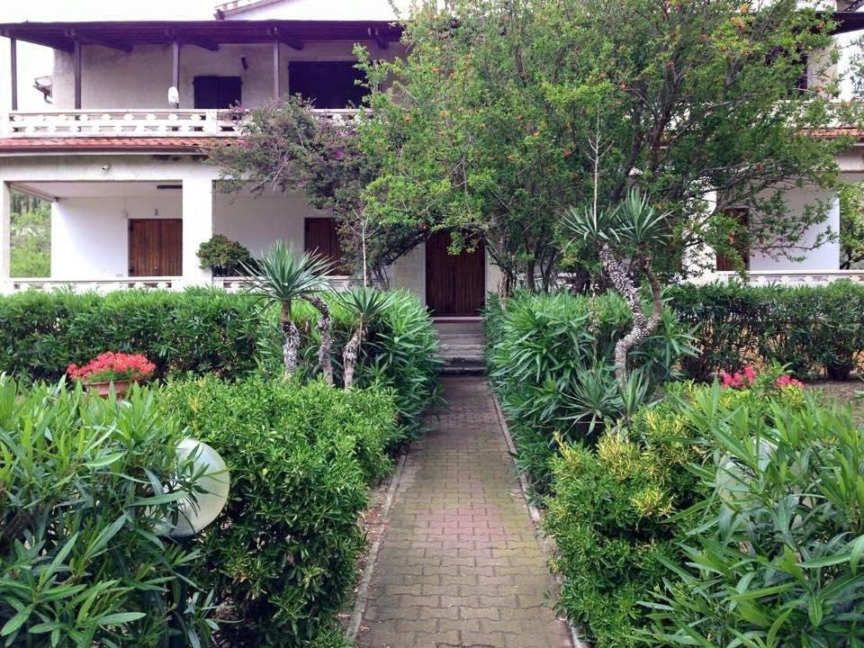 Conti Lacona