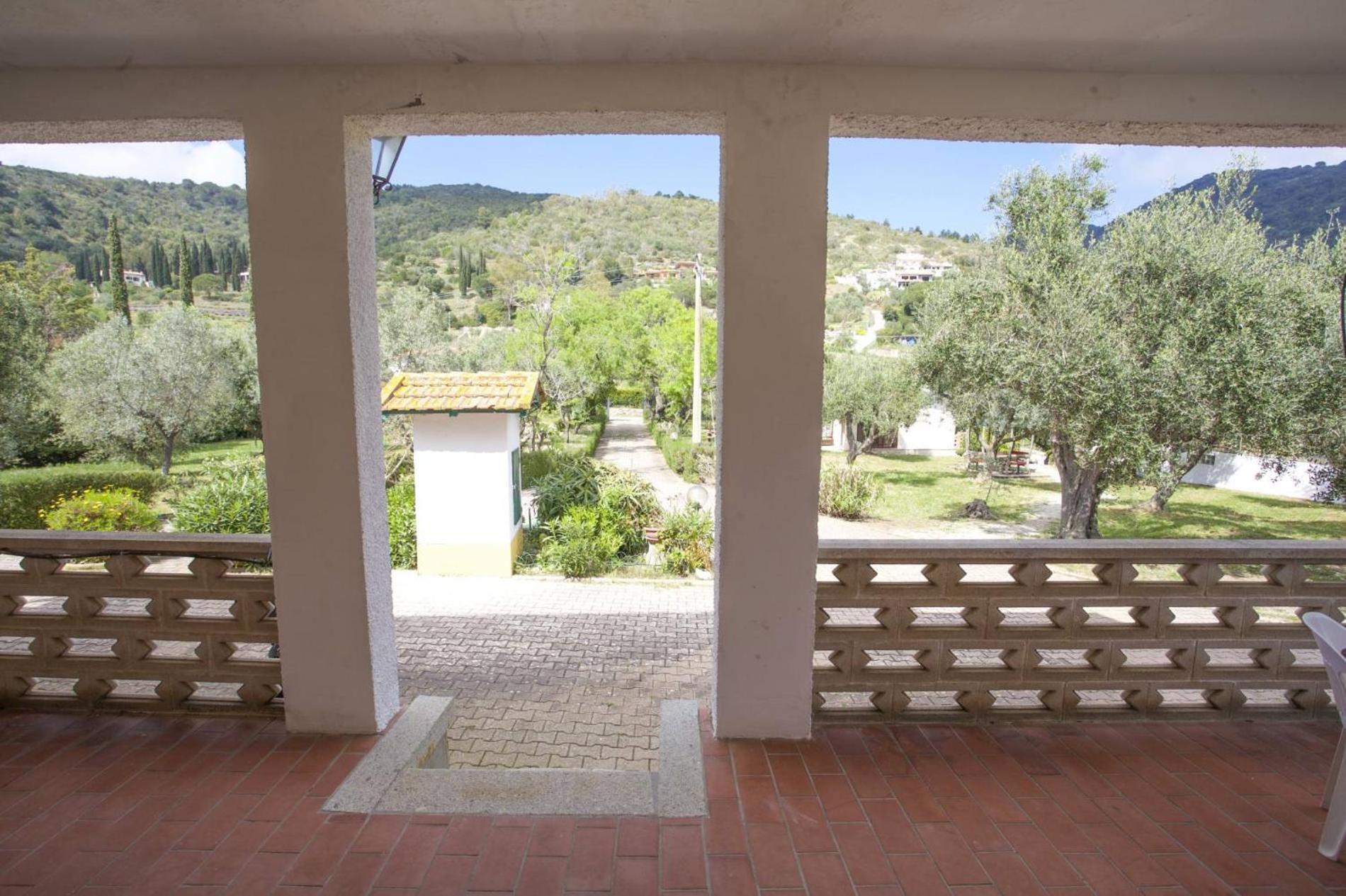Conti 4*