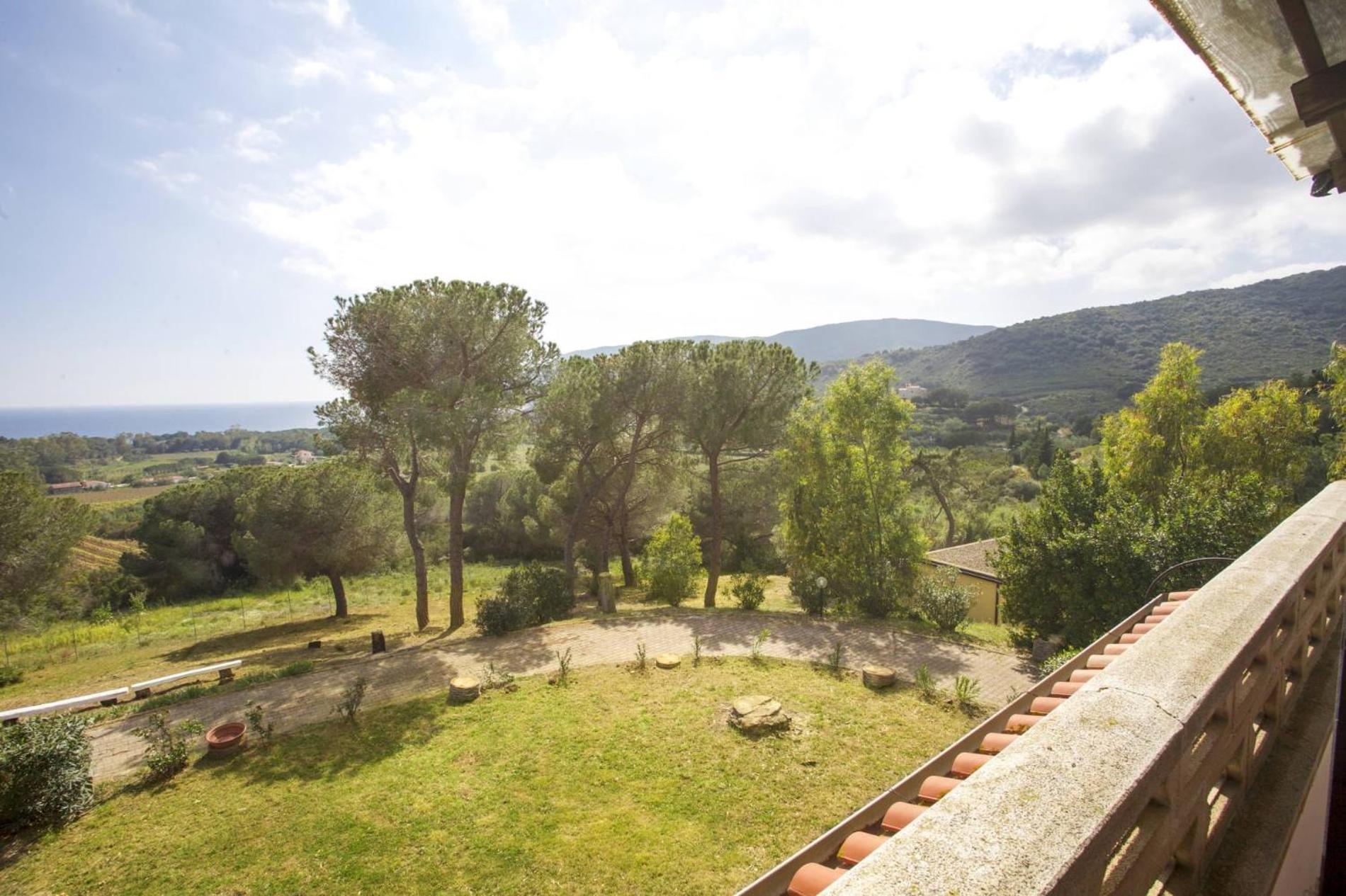 Conti Lacona