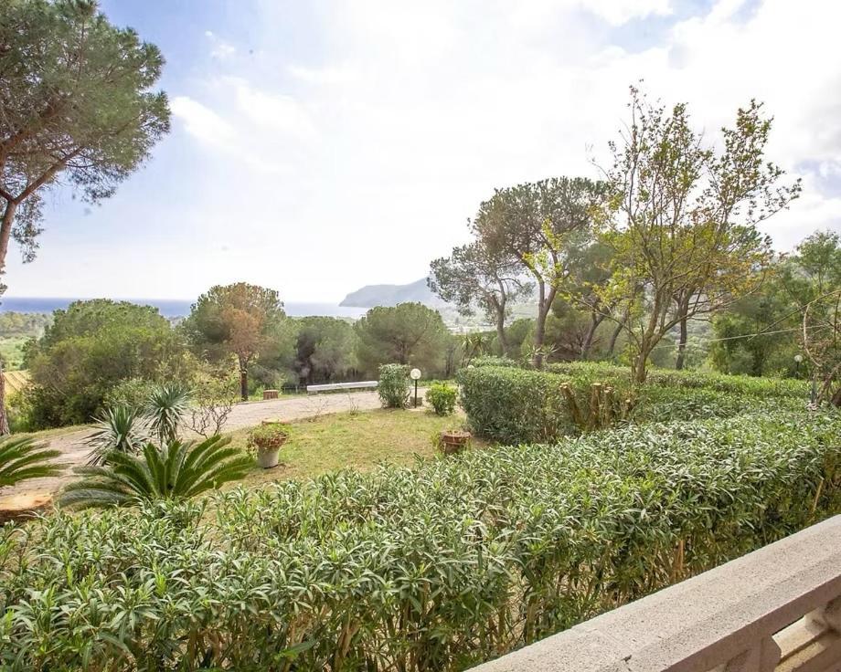 Conti 4* Lacona