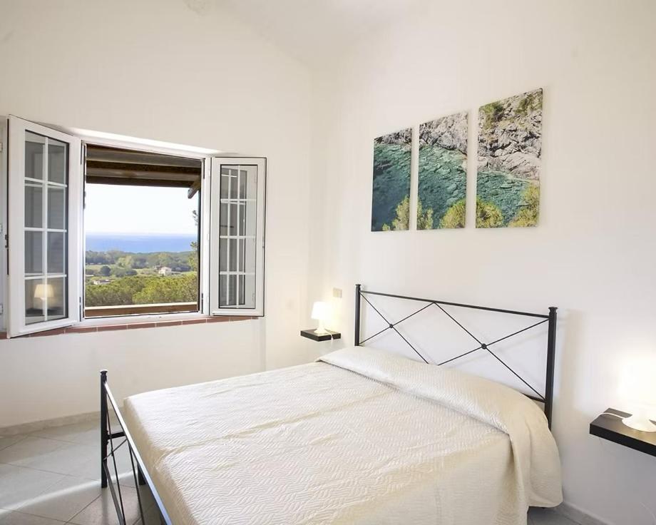 Conti 4*