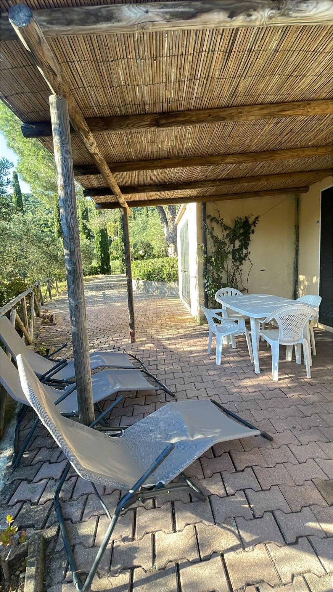 Conti 4*
