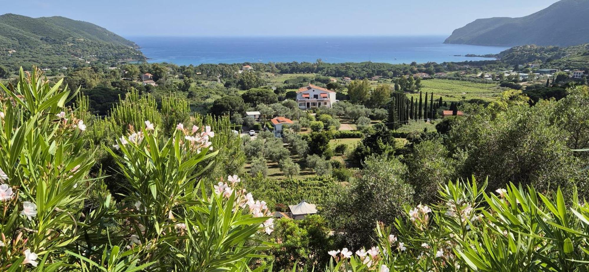 Conti 4* Lacona