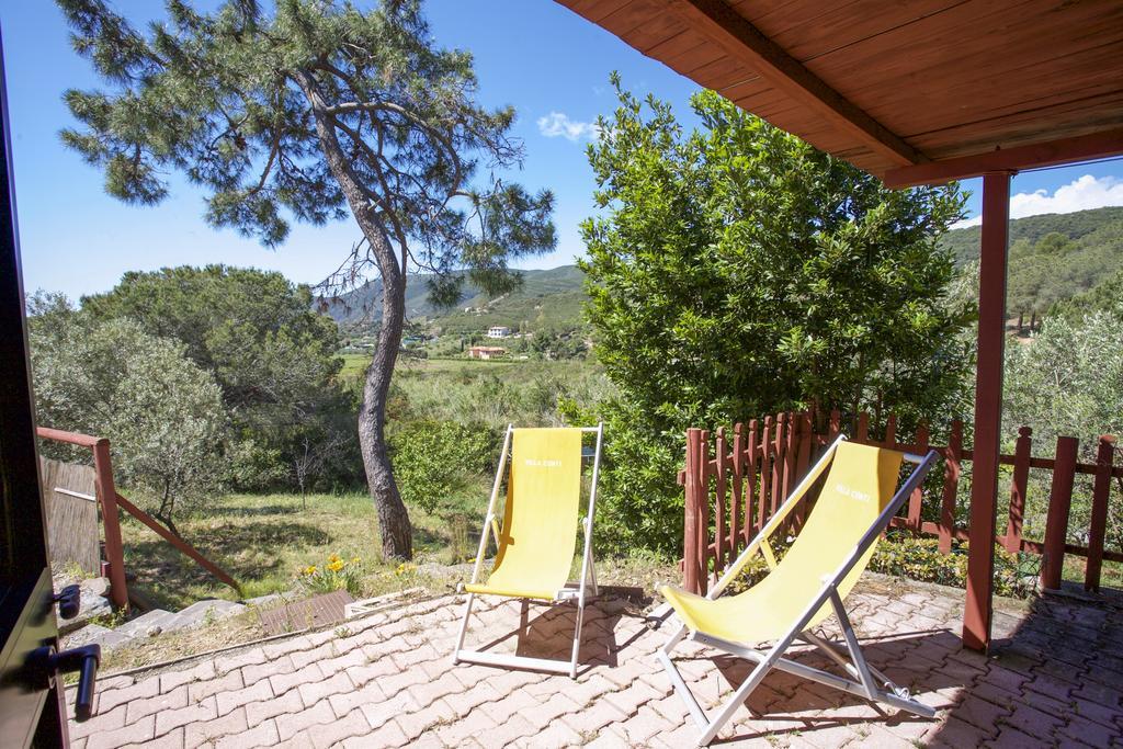Conti 4*